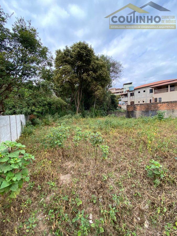 WhatsApp Image 2025-06-09 at 11.19.26.jpeg